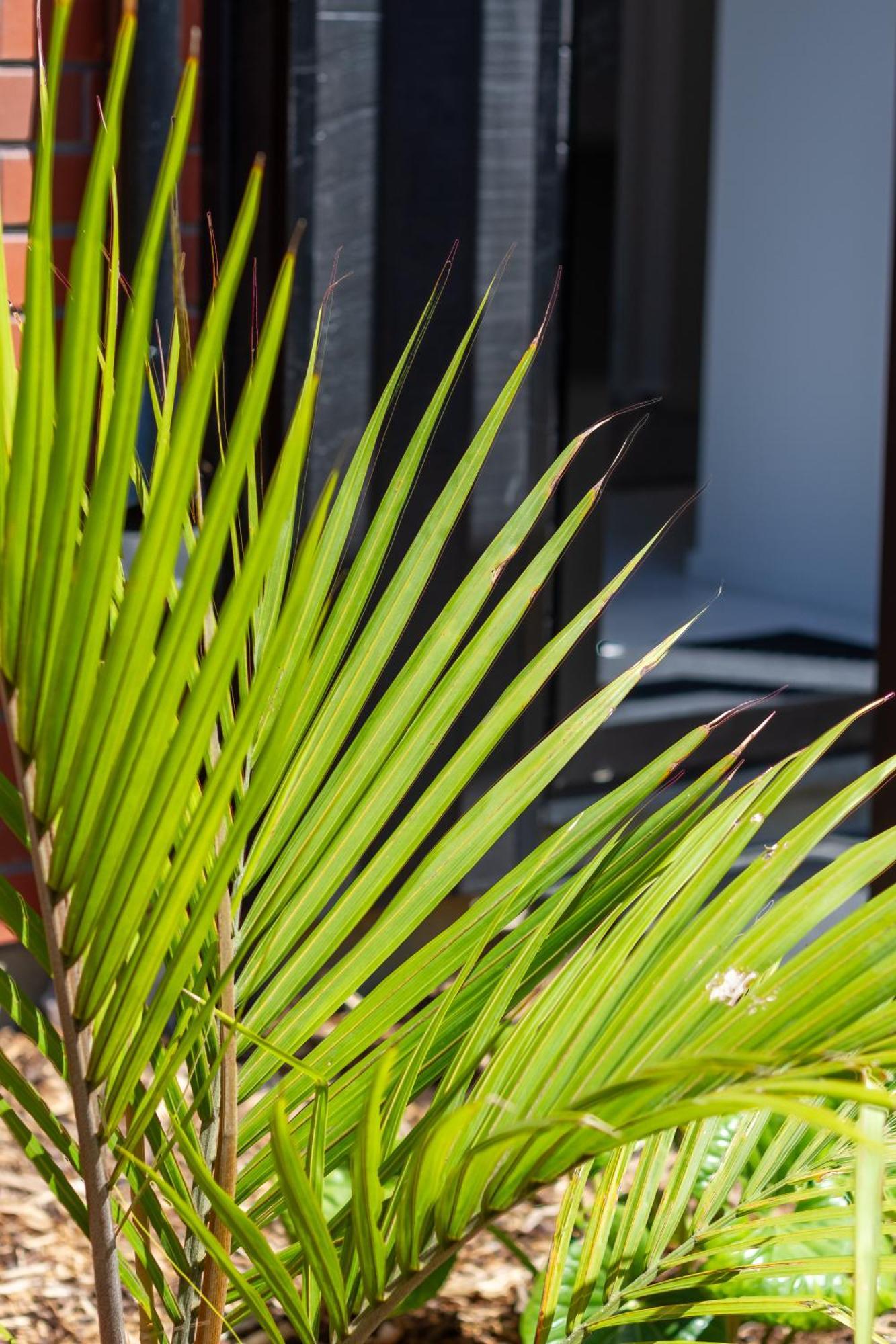Conveniently Located 2Br Townhouse In West Akl Apartment Auckland Bagian luar foto